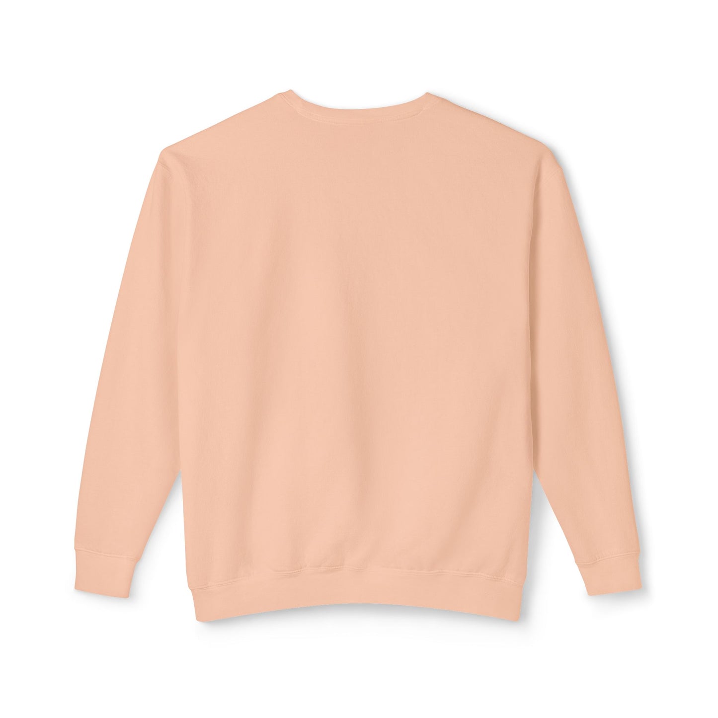 Women's Graphic Sweatshirt Modern Art Design Peachy Back