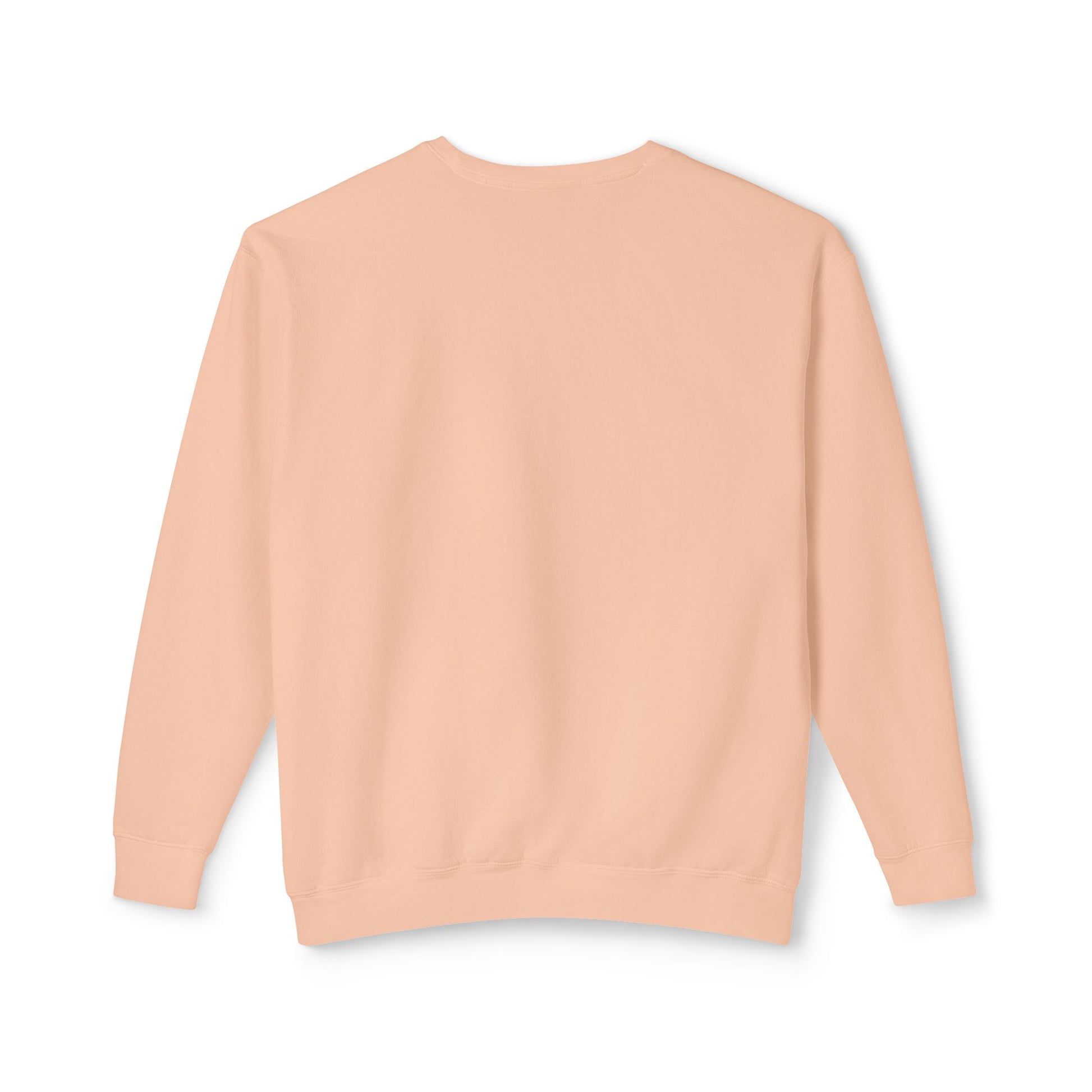 Women's Graphic Sweatshirt Modern Art Design Peachy Back